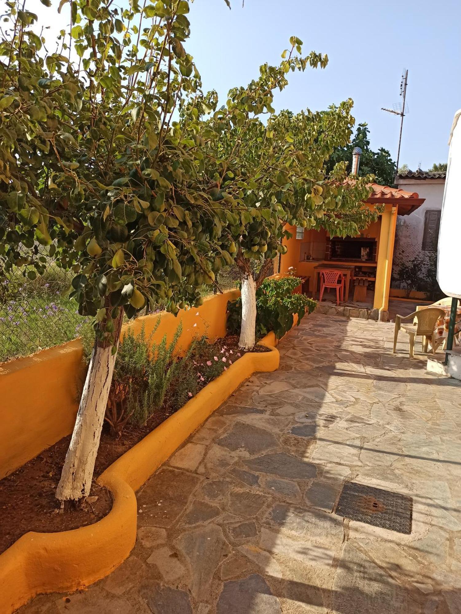 Theodoras House Michaniona Exterior foto